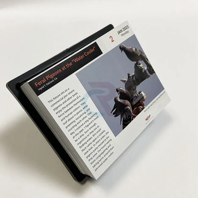 W jaki sposób niestandardowe projekty można włączyć do kalendarzy z odrywaną stroną dziennie?